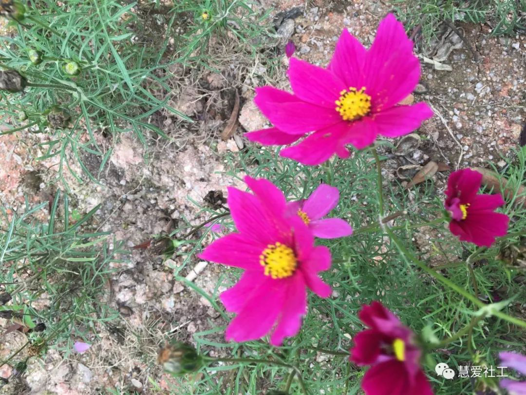 1582773046464932.png 图片71.png