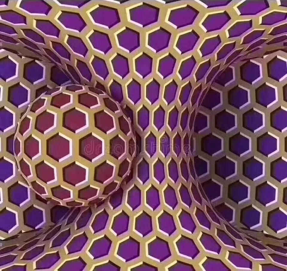 2.webp.jpg