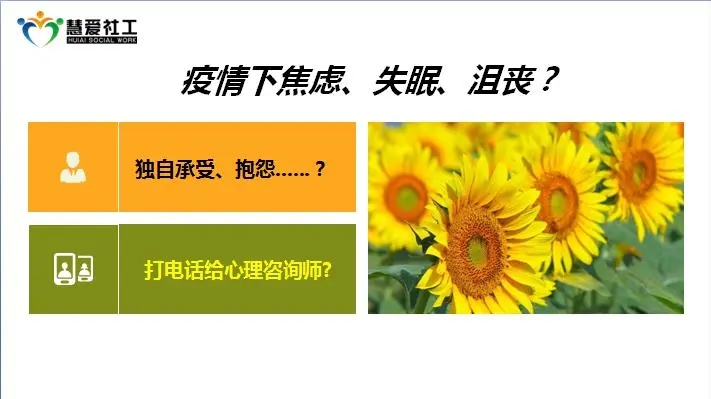 6.webp.jpg